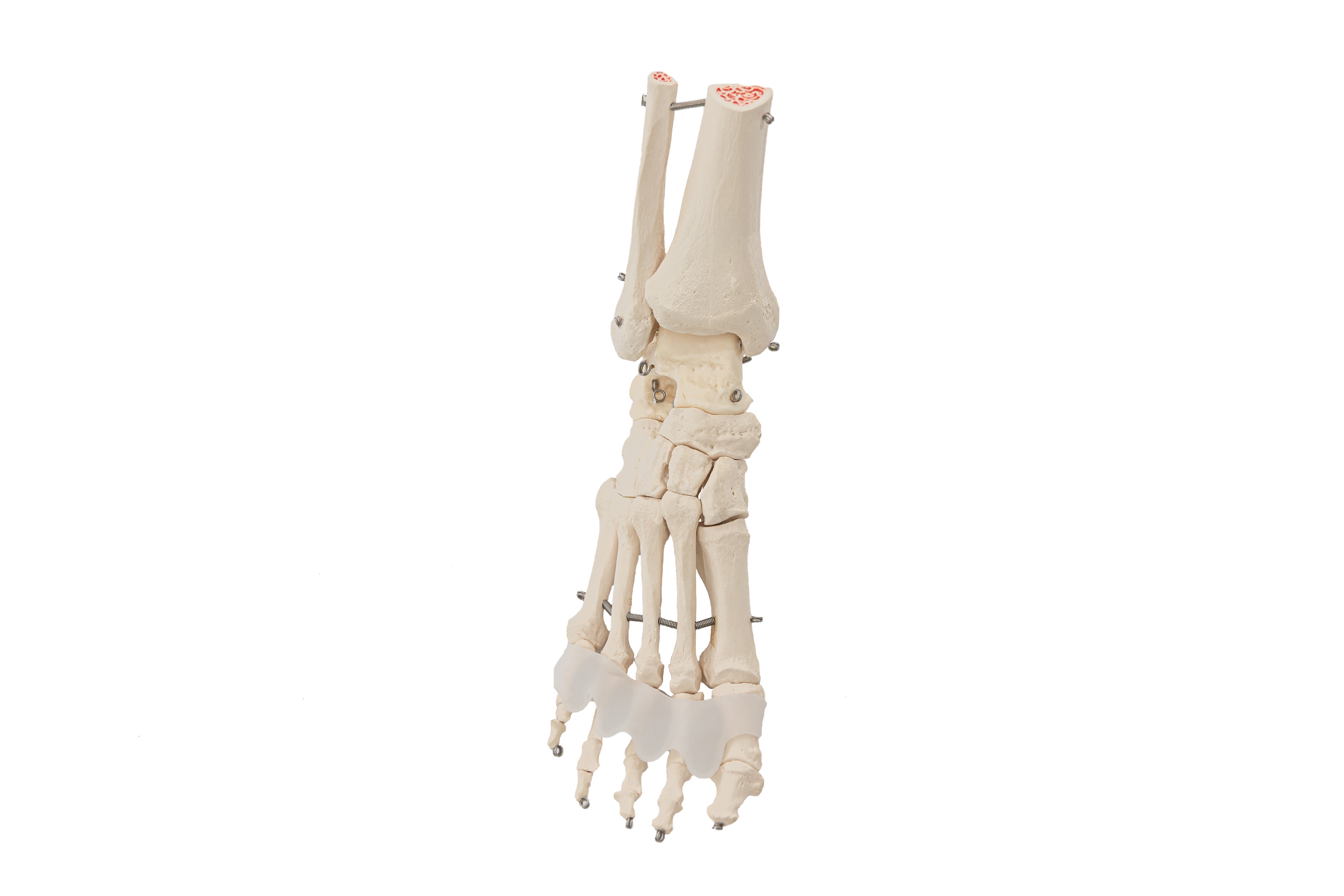 Twin Flamingos Silicone Toe Spreaders Twin Pack Freestyle Feet